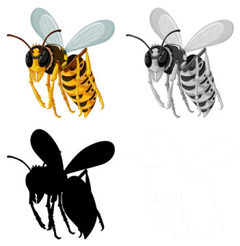 Set of bee on white background
