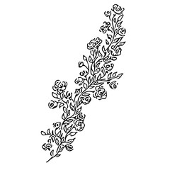 Hand Drawn  Illustrations Of Abstract Peony Flower Isolated on White Background. Floral Design Elements For Invitations, Greeting Cards, Posters, Blogs. Hand Drawn Sketch of a Flowers.