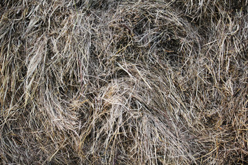 Dry hay bale texture background	