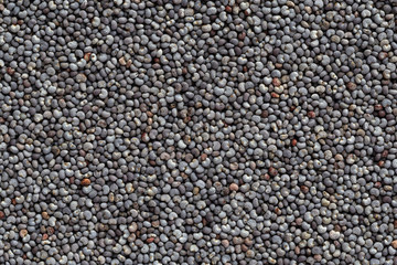 close up of poppy seeds background