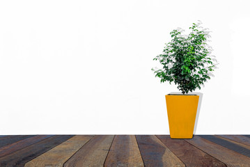 Yellow pots on wooden floors