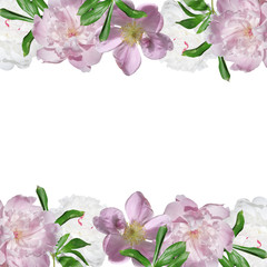 Beautiful floral background of peonies and rose hips. Isolated