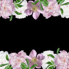 Beautiful floral background of peonies and rose hips. Isolated