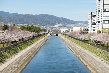 芦屋の宮川