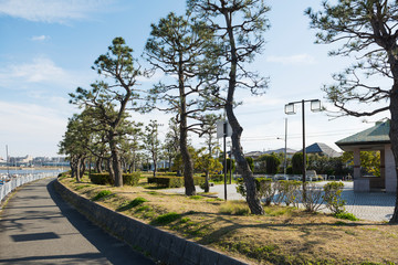 Obraz premium 海浜公園