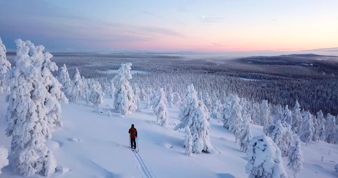 Aerial, drone shot, following a man cross country skiing, between snow covered, tykkylumi trees, on a tunturi mountain, colorful dusk, on a winter day, polar night, in Salla, Lapland, Finland