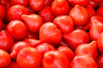 tomatoes on a black background