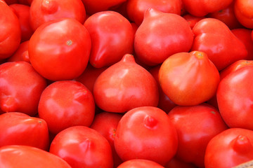 perfect tomatoes on the market