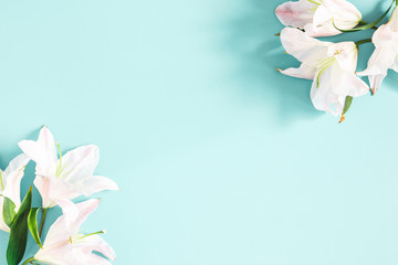 Flowers composition. Frame made of lily flowers on pastel blue background. Flat lay, top view, copy...