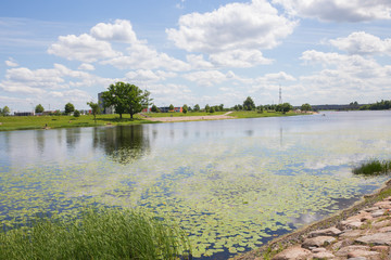 Fototapeta premium City Jelgava, Latvian Republic. River Lielupe, people sunbathing on the river bank. Jun 9. 2019. Travel photo.
