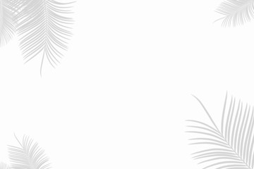 Palm leaf shadow on a white wall Background. Blank copy space add to text.