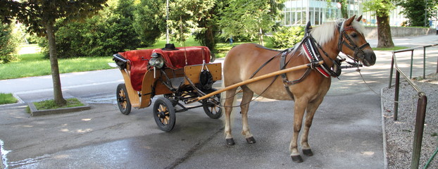 eine Pferdekutsche