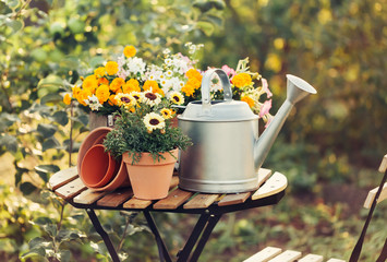 Gardening tools and different flowers © valya82