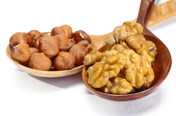 Walnuts and hazelnuts in wooden spoons on white background