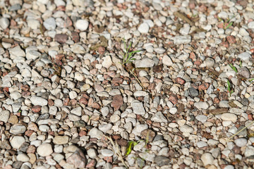 Background type view of small rocks on a pavement road. 