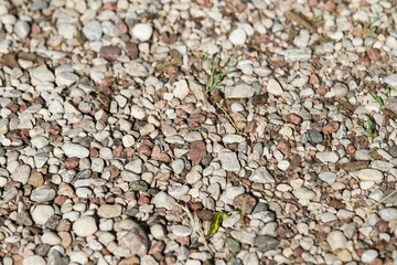 Background type view of small rocks on a pavement road. 