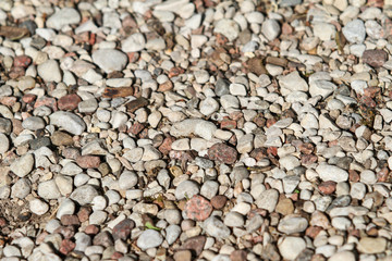Background type view of small rocks on a pavement road. 