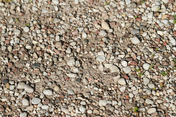 Background type view of small rocks on a pavement road. 