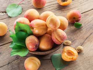 Naklejka na ściany i meble Ripe apricots on the orchard tree in the garden.