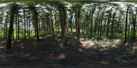 Pocheon, South Korea - 7 May 2019 Korea National Arboretum. 360 degree spherical panorama of spring nature in forest.