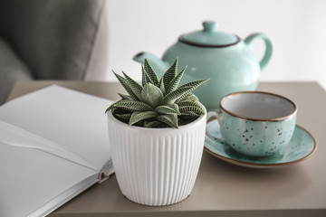 Succulent in pot with book, cup and teapot on table in room