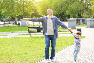Cute little boy with grandfather walking in park