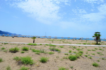 turtle island and green Dalyan river in Turkey