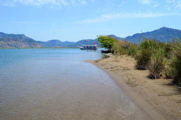 turtle island and green Dalyan river in Turkey