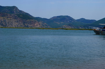 turtle island and green Dalyan river in Turkey