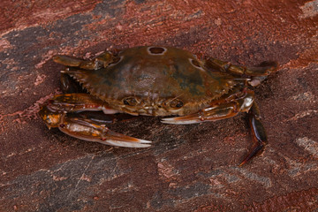 Raw crab - ready for cooking