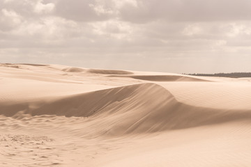 Fototapeta na wymiar Details of a sand dune in beautiful light.