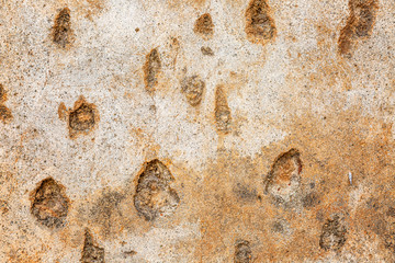 The texture of the stone wall, closeup. Background. Space for text.