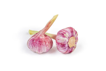 Young bulbs of the purple garlic on a white background