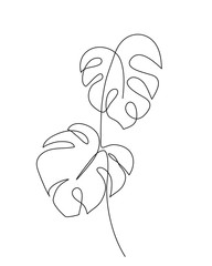 Monstera leaves. Continuous line drawing. Minimalist art. Abstract tropical leaves line art