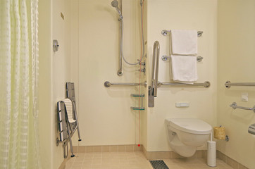 Wheelchair accessible bathroom with shower aboard luxury cruise ship