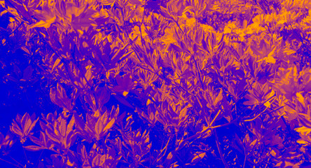 Abstraction in different colors. The basis of the theme, various plants, leaves, branches.