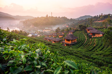Sunrise at Lee wine Rak Thai, Chinese settlement, Mae Hong Son, Thailand