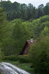 wooden house in the forest