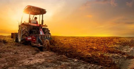 Foto auf Acrylglas Traktor Der Traktor bereitet den Boden für die Bepflanzung über dem Hintergrund des Sonnenunterganghimmels vor