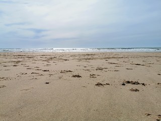 france summer beach surfer coast