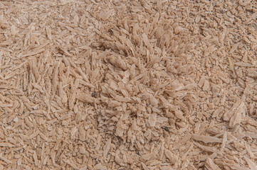 Raw salt crystals in salines on Lanzarote, Canary Islands