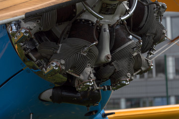 Fototapeta premium Sternmotor eines historischen Sportflugzeugs bei einer Flugschau in Kiel-Holtenau