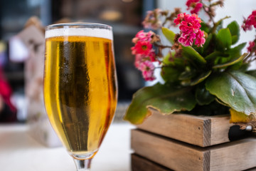 blond beer on a glass with a decoration plant on an outdoor pub scene