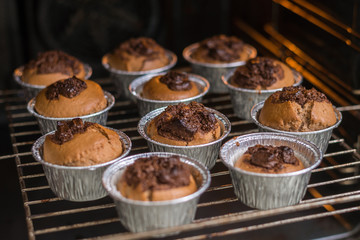 Cooked chocolate muffins in the oven. Sweet tasty cooked pastries only.