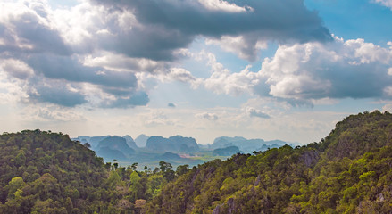 Obraz premium scenic view to rain forest in Krabi Thailand