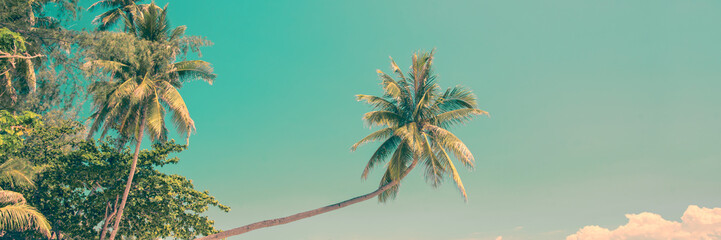 Tropical panorama with a leaning palm tree, vintage process