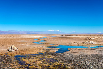 The Chaxa Lagoon : part of the Los Flamencos National Reserve, placed in the middle of the Salar de Atacama, Chile