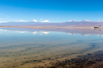 The Chaxa Lagoon : part of the Los Flamencos National Reserve, placed in the middle of the Salar de Atacama, Chile