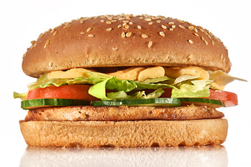 fresh tasty burger isolated on white background
