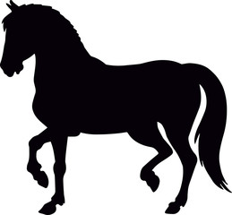 horse silhouette,on white background